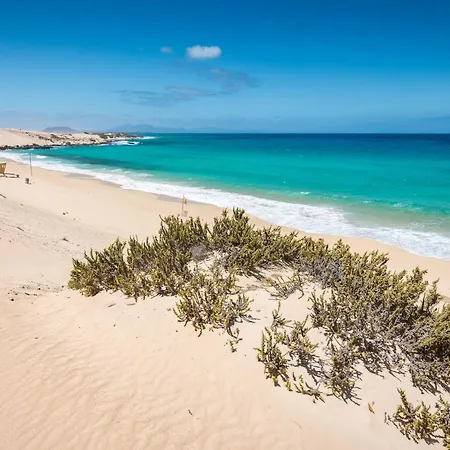 Home2book Charming Los Alisios, Wifi *